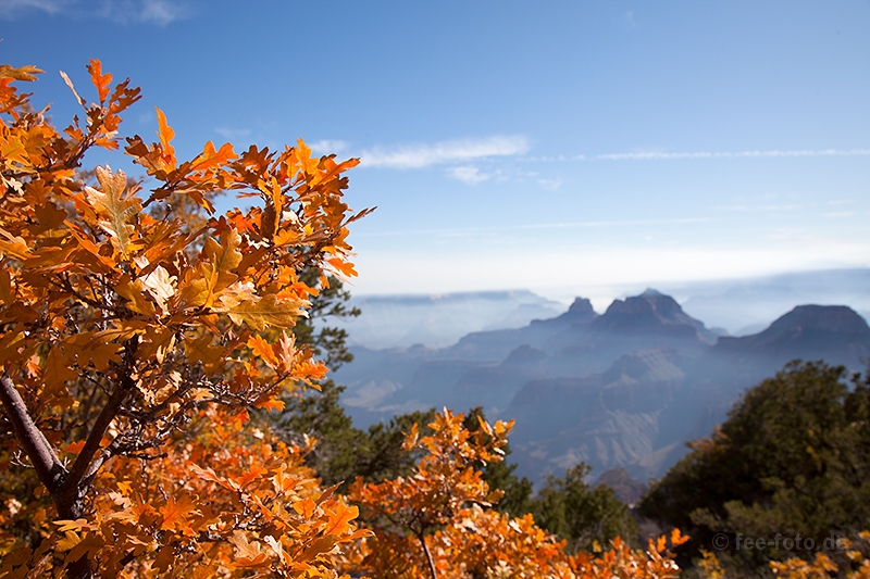 Farbe für Auge und Herz